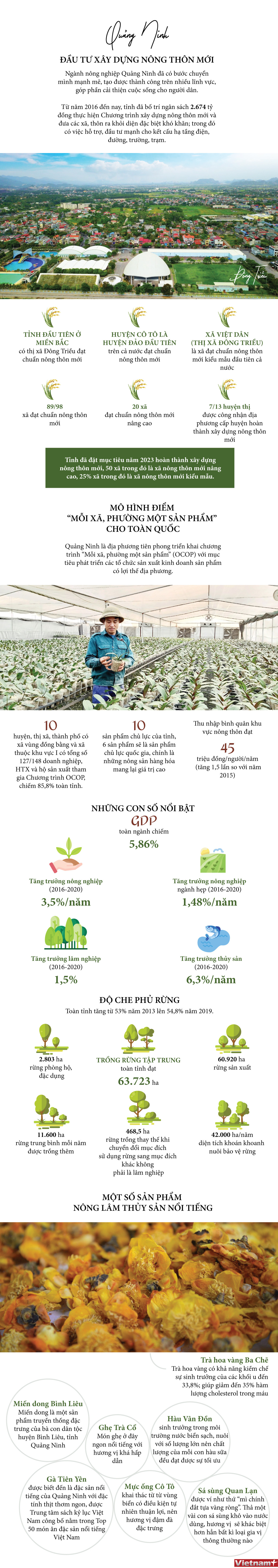 [Infographics] Quảng Ninh đẩy mạnh đầu tư xây dựng nông thôn mới ảnh 1