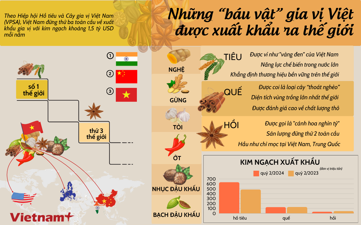 gia vi viet.png