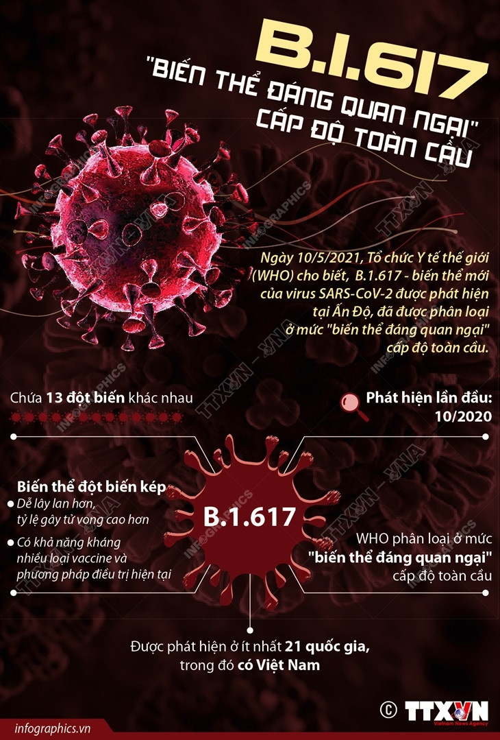 [Infographics] B.1.617 là "biến thể đáng quan ngại" cấp độ toàn cầu ảnh 1
