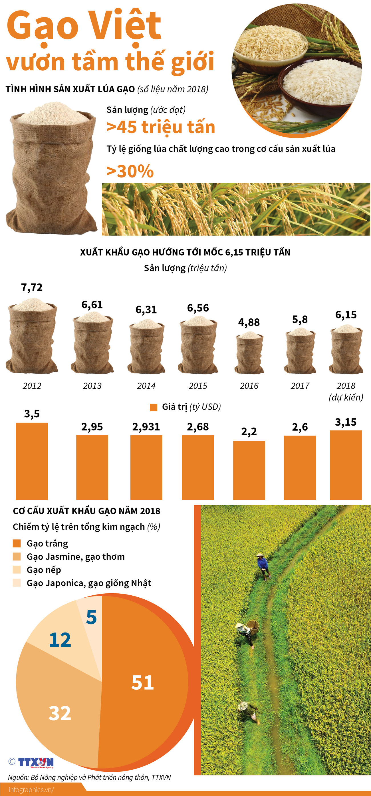 [Infographics] Sắp công bố Logo thương hiệu quốc gia gạo Việt Nam ảnh 1