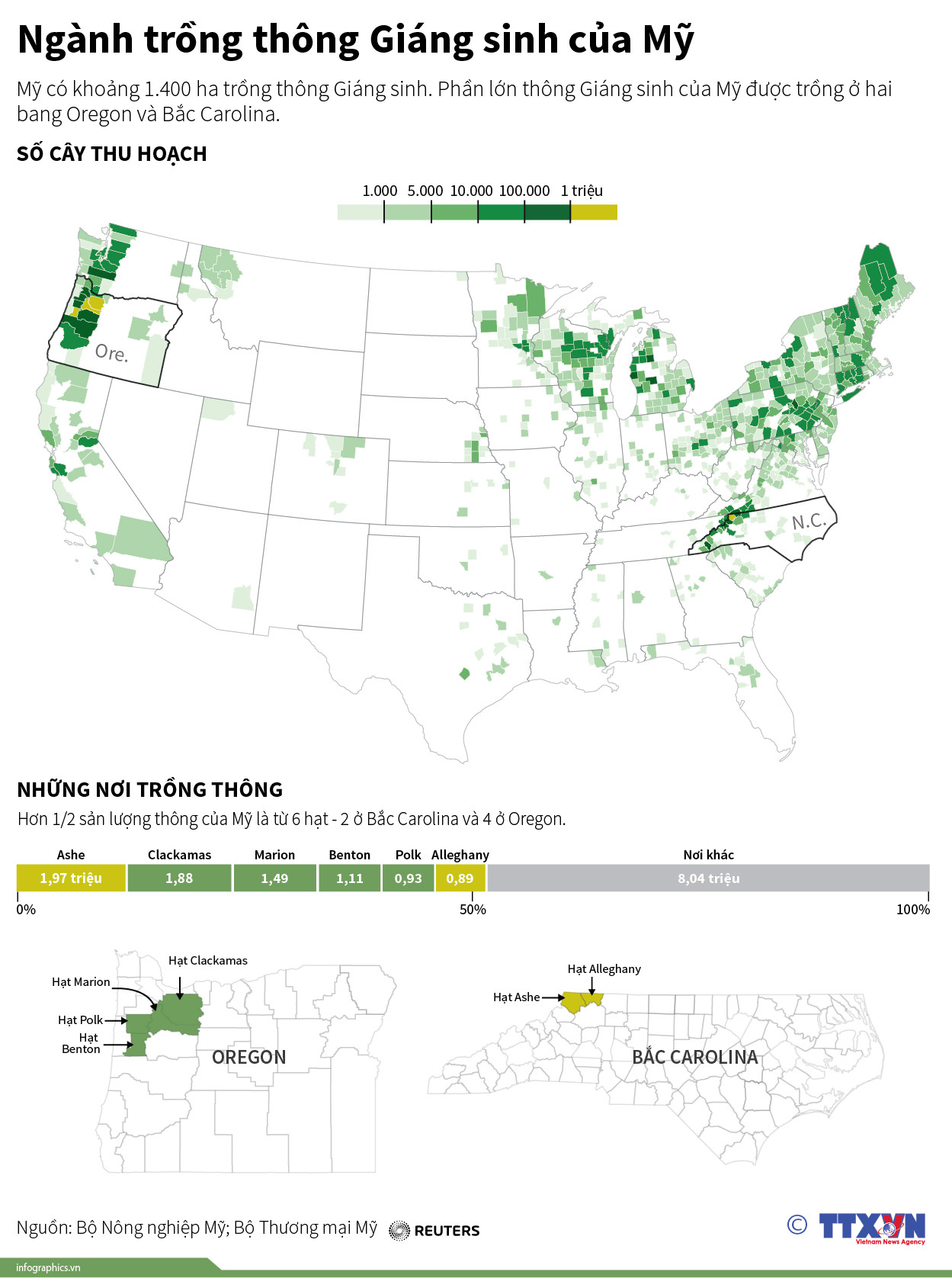 [Infographics] Ngành trồng thông Giáng sinh của Mỹ ảnh 1