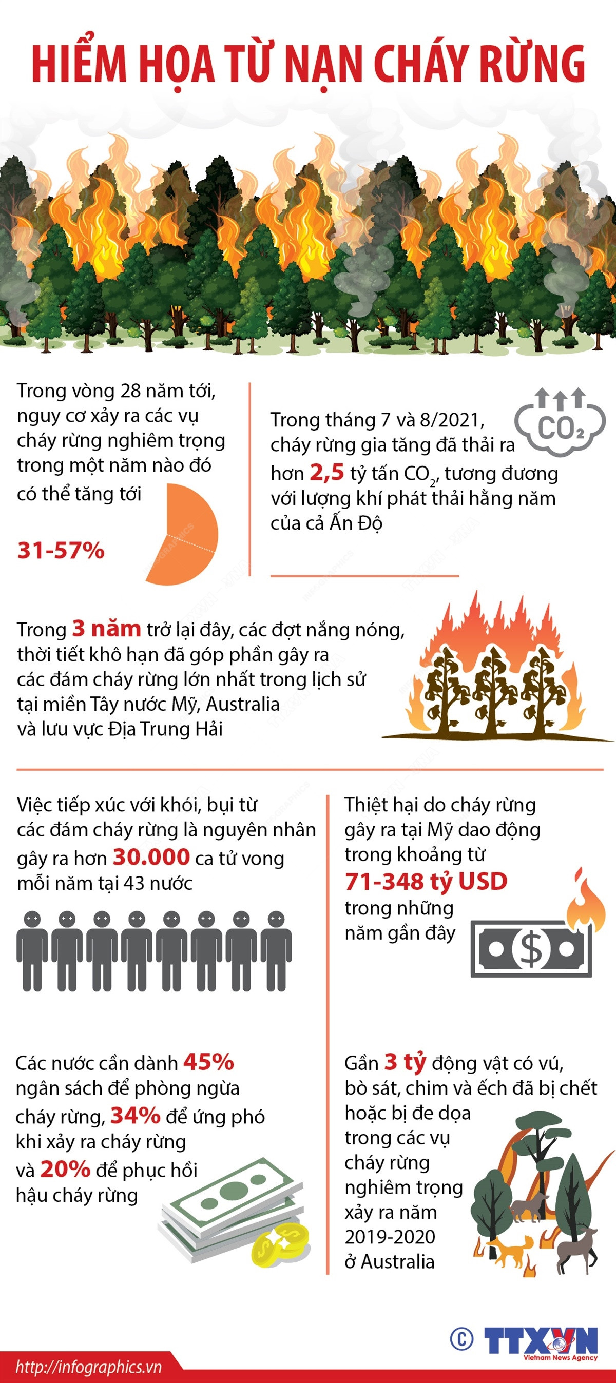 [Infographics] Hiểm họa từ nạn cháy rừng trên khắp thế giới ảnh 1