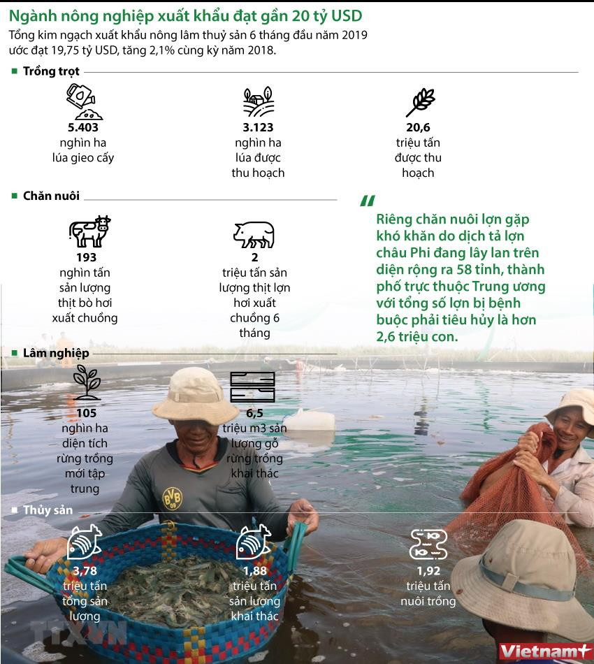 [Infographics] Ngành nông nghiệp xuất khẩu đạt gần 20 tỷ USD ảnh 1