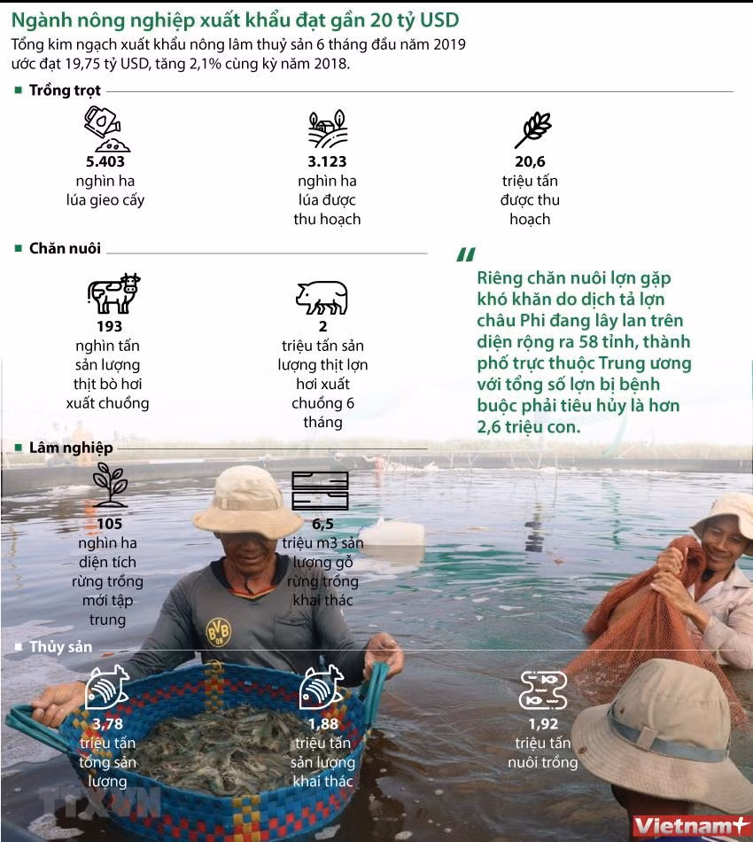 [Infographics] Ngành nông nghiệp xuất khẩu đạt gần 20 tỷ USD ảnh 1