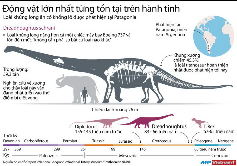 [Infographics] Động vật lớn nhất từng tồn tại trên hành tinh ảnh 1