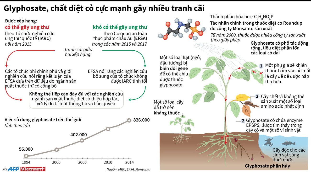 [Infographics] Glyphosate - Chất diệt cỏ cực mạnh gây nhiều tranh cãi ảnh 1