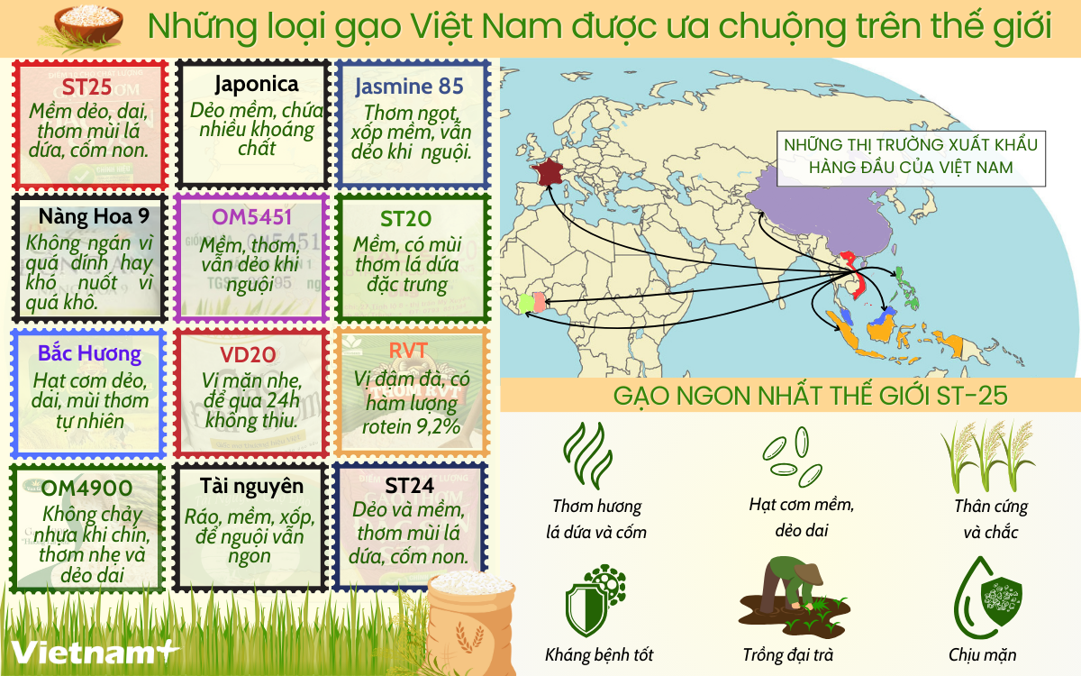 Infographics Ha chu nhat (11).png