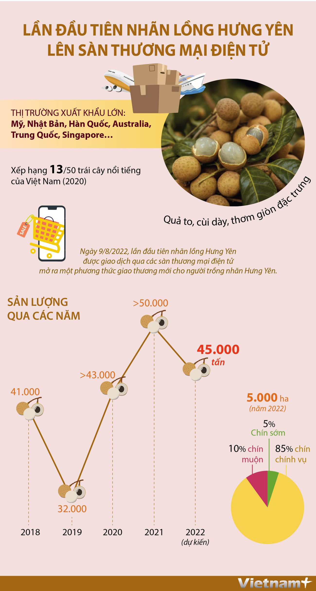 [Infographics] Nhãn lồng Hưng Yên lên sàn thương mại điện tử ảnh 1