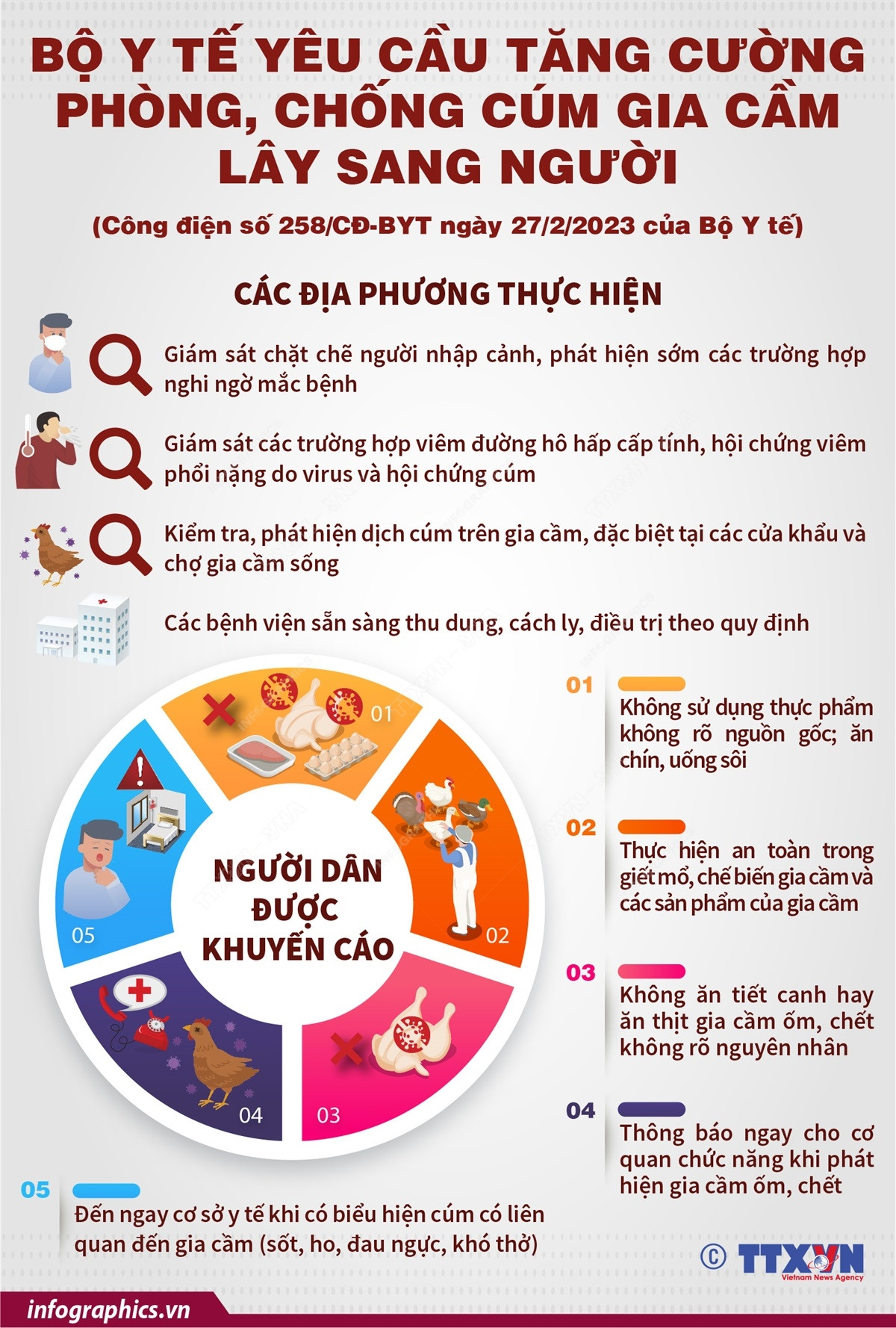 Bộ Y tế yêu cầu tăng cường phòng, chống cúm gia cầm lây sang người ảnh 1