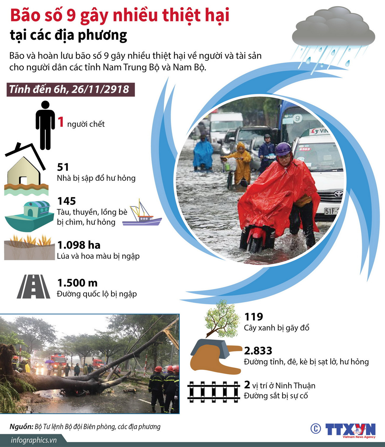 [Infographics] Bão số 9 gây nhiều thiệt hại tại các địa phương ảnh 1
