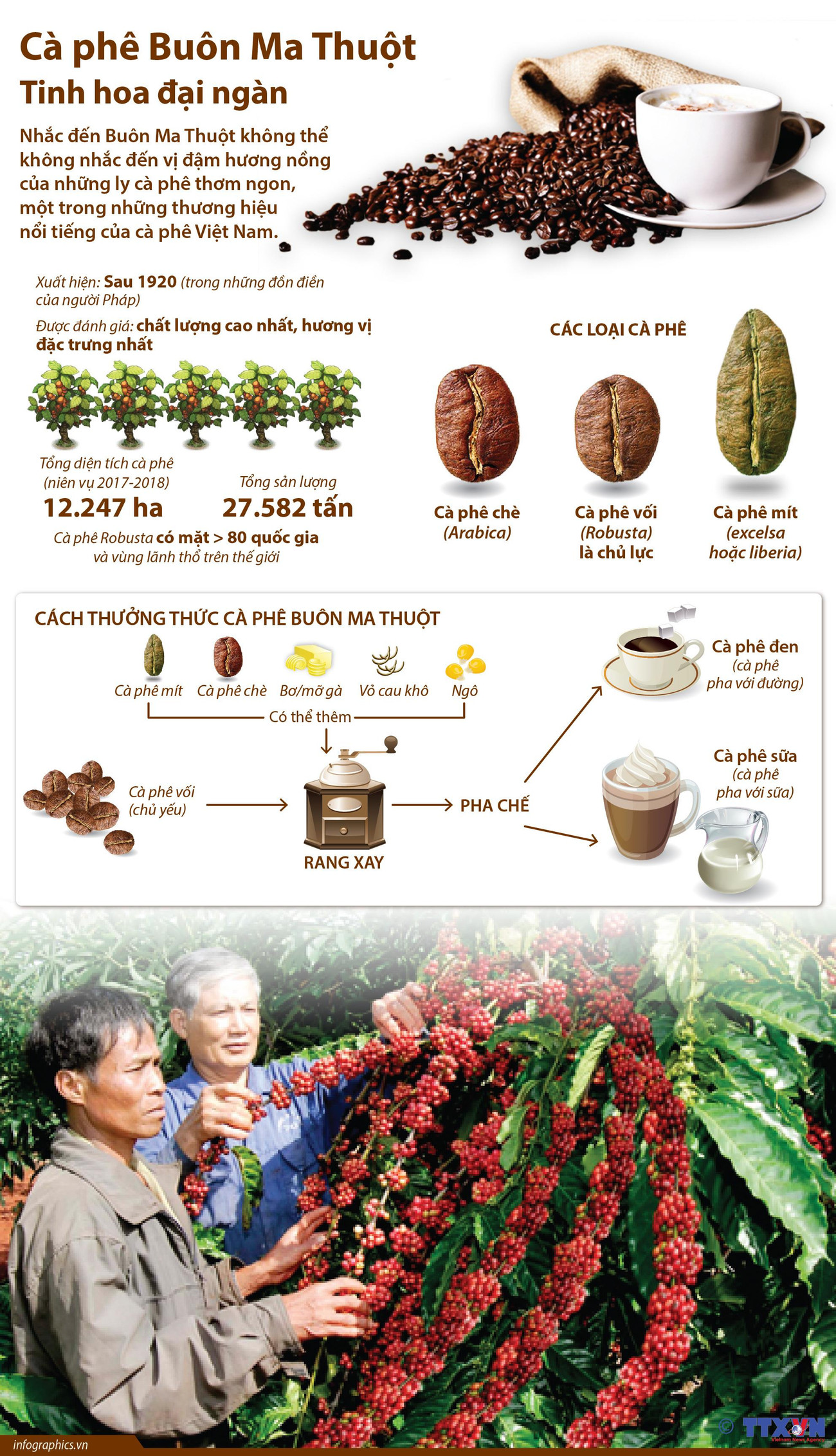 [Infographics] Càphê Buôn Ma Thuột - Tinh hoa đại ngàn ảnh 1