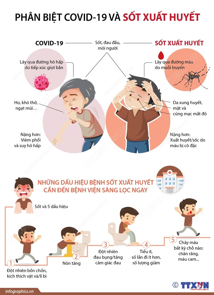 [Infographics] Cách phân biệt COVID-19 và sốt xuất huyết ảnh 1