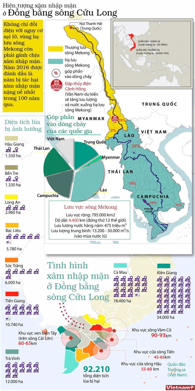 [Infographics] Hiện tượng xâm nhập mặn nghiêm trọng ở ĐBSCL ảnh 1
