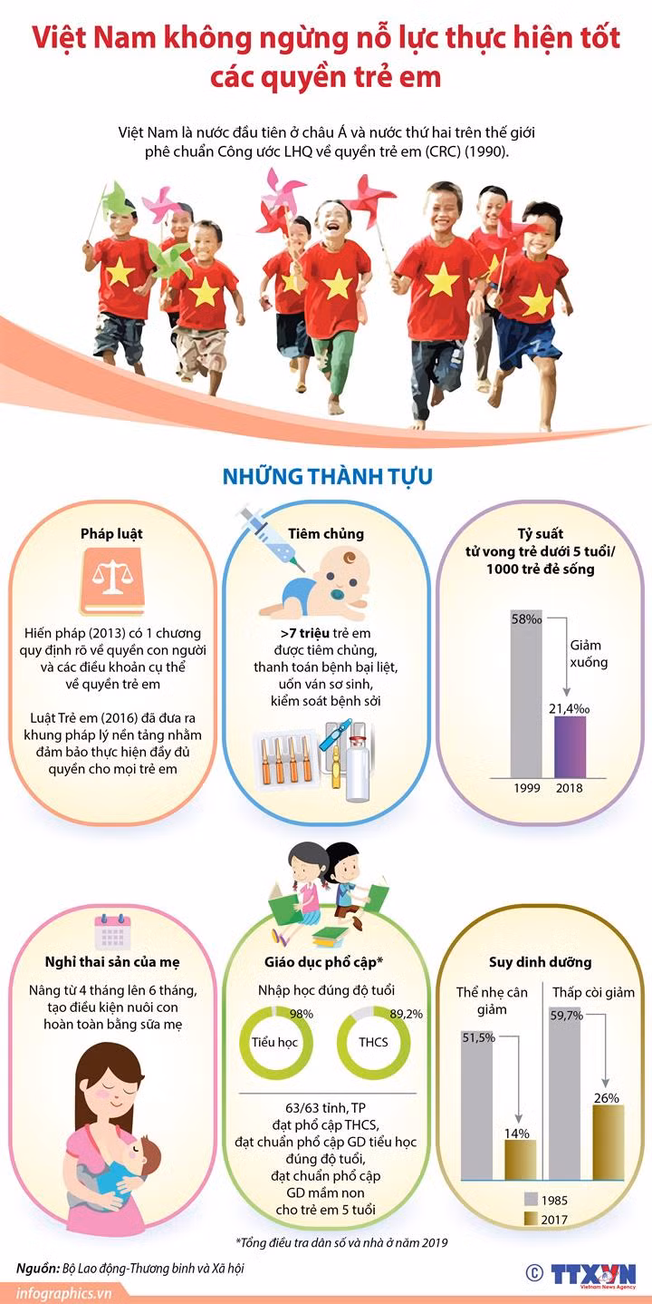 Việt Nam không ngừng nỗ lực thực hiện tốt các quyền trẻ em ảnh 1