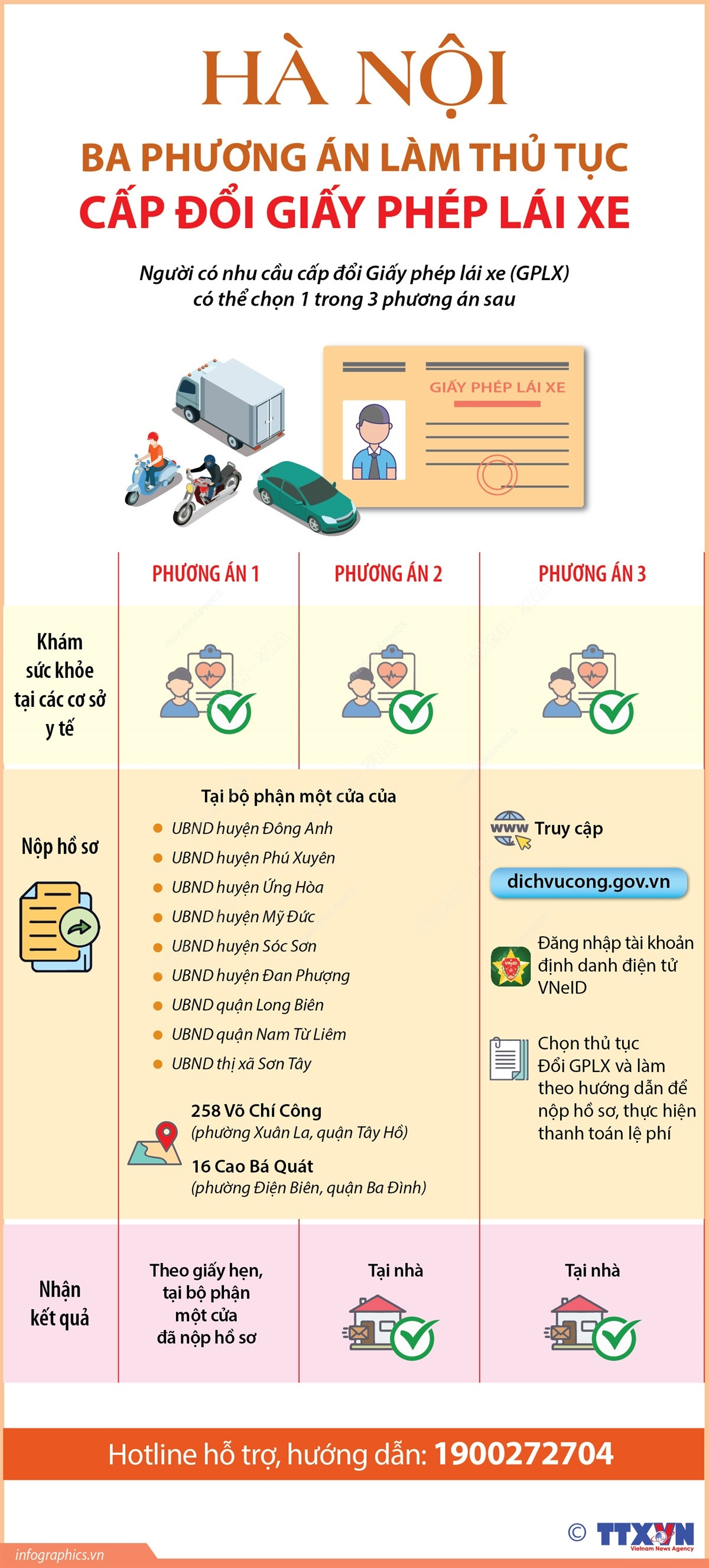 Infographics_giay phep lai xe 1.jpg