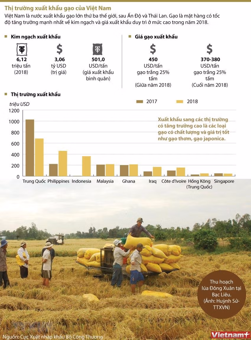 [Infographics] Thị trường xuất khẩu gạo của Việt Nam ảnh 1