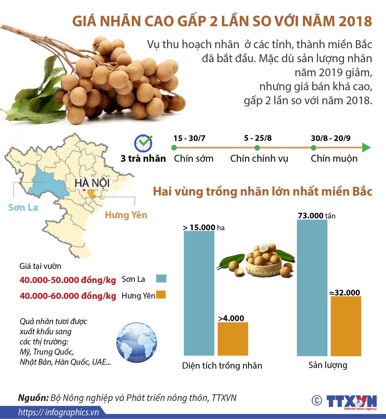 [Infographics] Giá nhãn cao gấp 2 lần so với năm 2018 ảnh 1