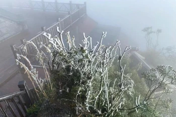 Vùng núi và trung du Bắc Bộ, từ ngày 22-23/1, có khả năng xảy ra rét đậm, có nơi rét hại. (Ảnh minh họa. Nguồn ảnh: TTXVN phát)