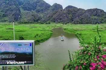 Bảo tồn thiên nhiên và đa dạng sinh học. (Ảnh: Hoài Nam/Vietnam+)