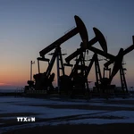 (Ảnh minh họa: TTXVN phát)