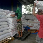 Ảnh minh họa. (Nguồn: TTXVN)