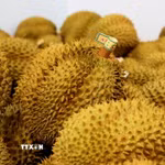Ảnh minh họa. (Nguồn: TTXVN)