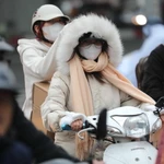 (Ảnh minh họa: TTXVN phát)