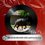 Tin nóng 16/2: Bắn hạ trâu điên khiến nhiều người thương vong 