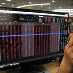 Ảnh minh họa. (Ảnh: TTXVN)