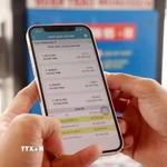 Ảnh minh họa. (Nguồn: TTXVN)