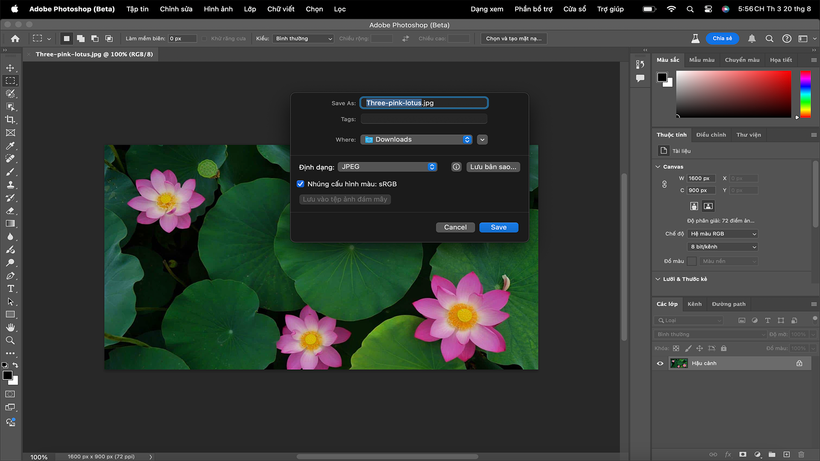 Photoshop chính thức ra bản tiếng Việt, giao diện được “bản địa hóa”