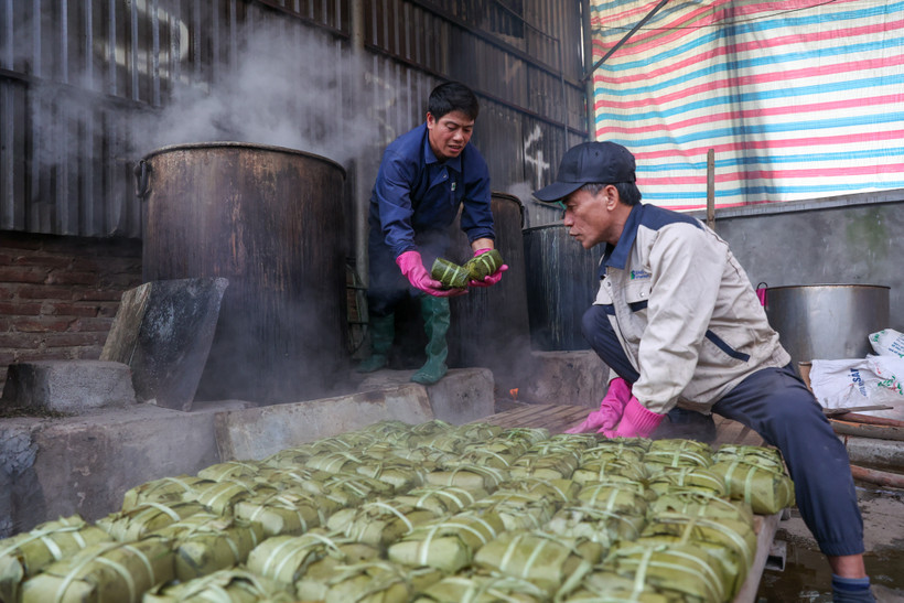 Bánh chưng Đất Tổ - là thương hiệu đặc sản của làng Cát Trù (xã Hùng Việt, huyện Cẩm Khê, Phú Thọ). Nơi đây được biết đến là vùng đất có truyền thống lâu đời, các nghệ nhân giàu kinh nghiệm làm ra những chiếc bánh chưng thơm ngon dâng lên Vua Hùng. (Ảnh: Minh Sơn/Vietnam+)