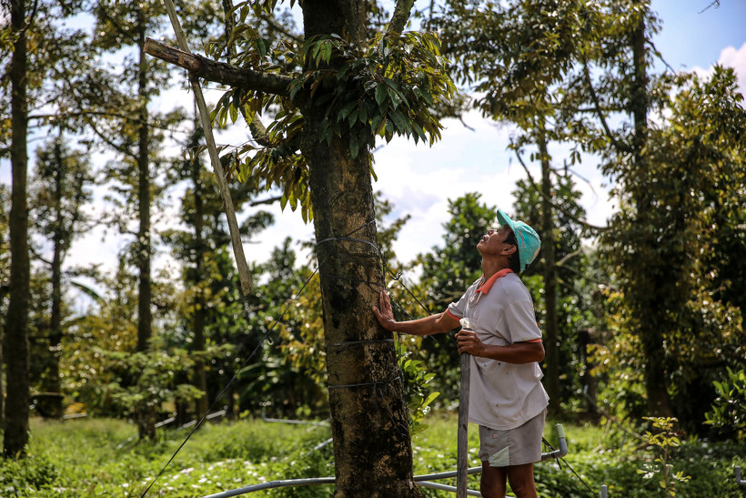 (Ảnh: Minh Sơn/Vietnam+)