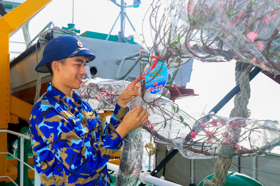 Chiến sỹ trên tàu HQ571 sửa lại cành đào trước khi đưa vào các đảo ở Trường Sa. (Ảnh: Hữu Quyết /TTXVN)