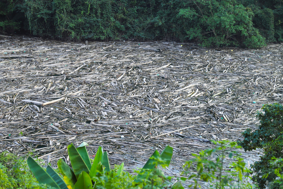 Bề mặt phụ lưu sông Nậm Nơn đoạn chảy vào Khe Hỷ (xã Nhôn Mai, tỉnh Nghệ An) bị phủ kín, ken cứng dày đặc rác, gỗ, thân cây, cành cây. (Ảnh: Xuân Tiến/TTXVN)