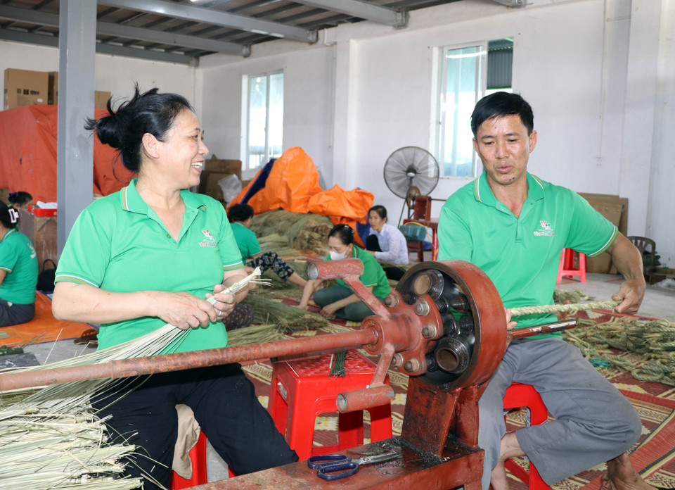 Làng nghề cói Kim Sơn tạo việc làm, tăng thu nhập cho gần 30.000 lao động địa phương. (Ảnh: Thùy Dung/TTXVN)