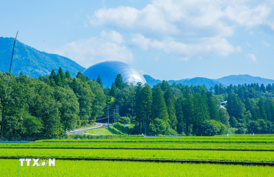 Kiến trúc vòm của Bảo tàng nổi bật giữa rừng cây xanh mướt. (Ảnh: Xuân Giao/TTXVN)