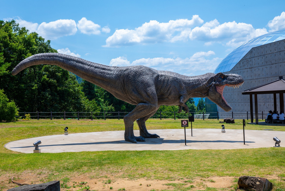 Mô hình khủng long bạo chúa dũng mãnh bên ngoài bảo tàng. (Ảnh: Xuân Giao/TTXVN)