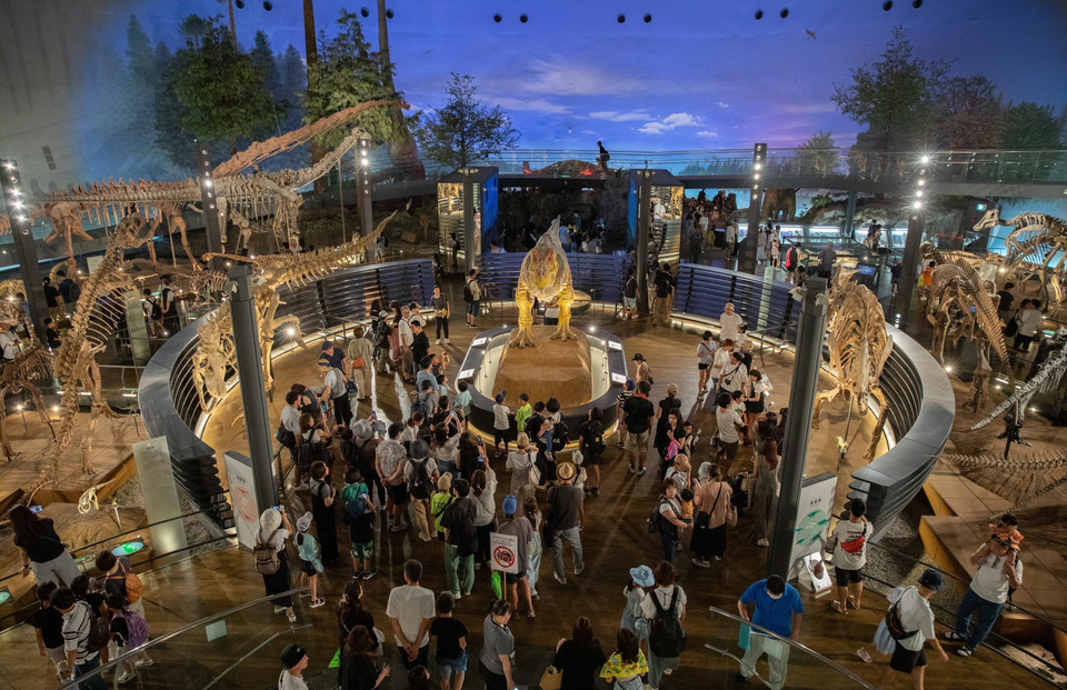 Bảo tàng thu hút du khách nhờ những khu trưng bày với quy mô lớn và phong phú. (Ảnh: Xuân Giao/TTXVN)