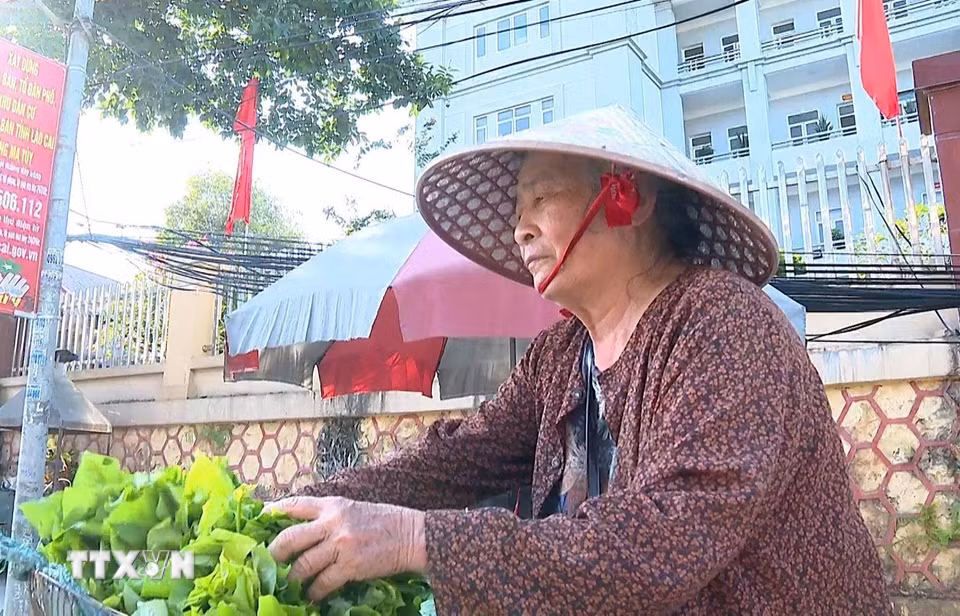 Dù đã hơn 70 tuổi nhưng bà Đỗ Thị Nghỉ, phường Yên Bái vẫn rong ruổi trên các con phố để bán rau xanh trong những ngày nóng gay gắt. (Ảnh: Tuấn Anh/TTXVN)