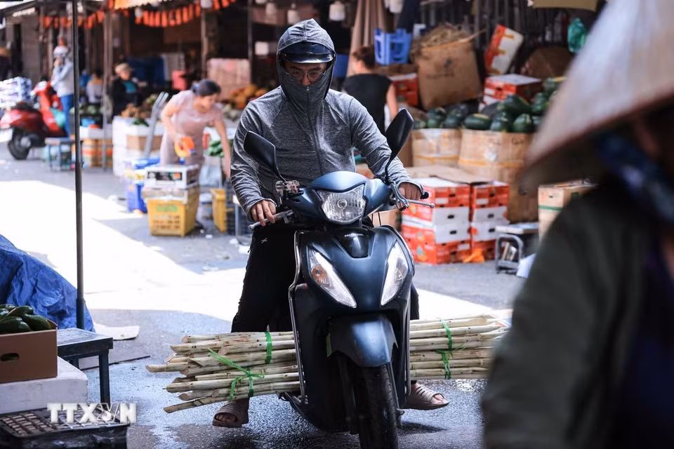 Mía được bán nhiều tại chợ Đồng Xuân trong những ngày nền nhiệt Hà Nội tăng cao. (Ảnh: Hoàng Hiếu/TTXVN)