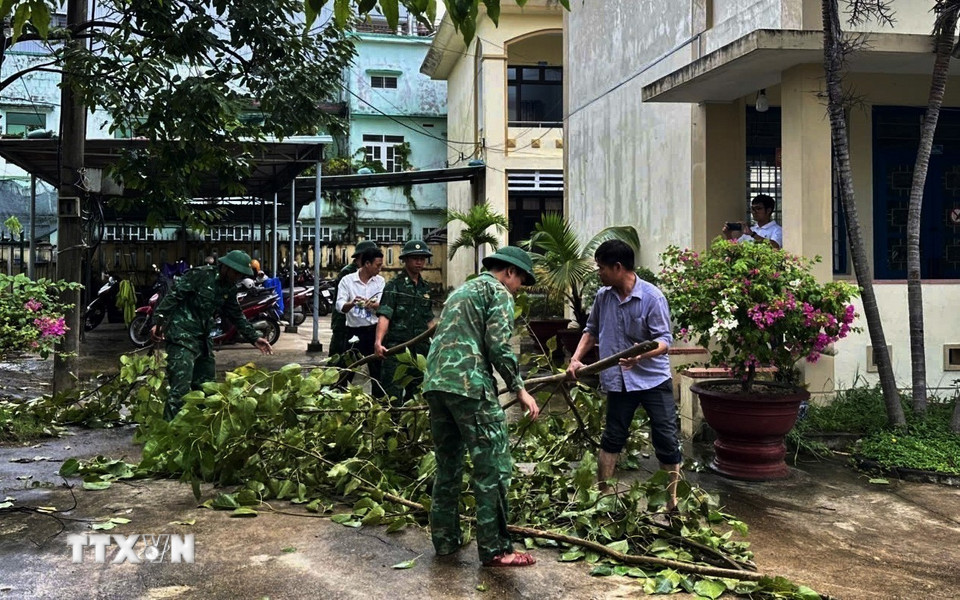 Cán bộ chiến sỹ Đồn biên phòng cửa khẩu cảng Kỳ Hà giúp người dân chặt tỉa cây xanh đề phòng ngã đổ gây hư hại nhà cửa. (Ảnh: Đoàn Hữu Trung/TTXVN)