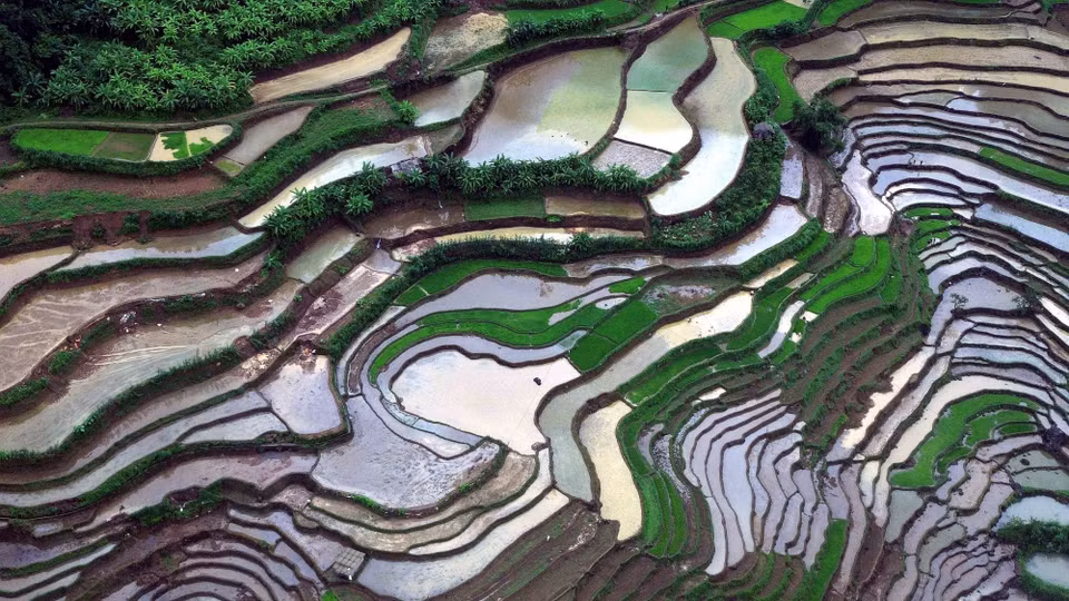 Ruộng bậc thang ở xã Mường La (Sơn La) mùa nước đổ. (Ảnh: Quang Quyết/TTXVN)