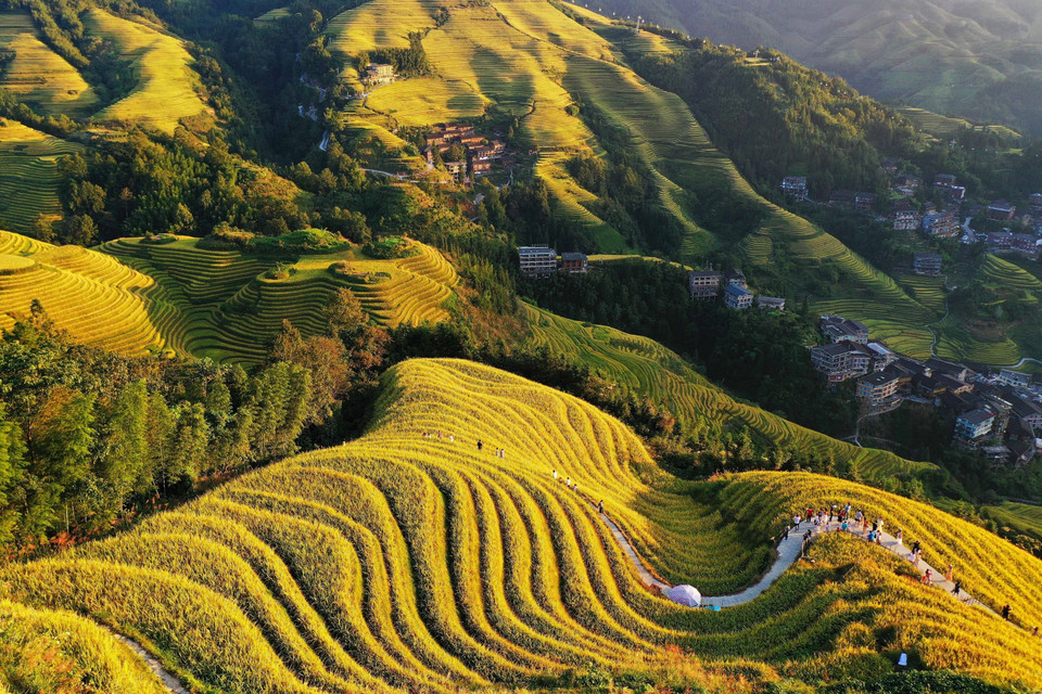 Cảnh đẹp mùa thu tại khu tự trị dân tộc Choang Quảng Tây, Trung Quốc. (Ảnh: THX/TTXVN)