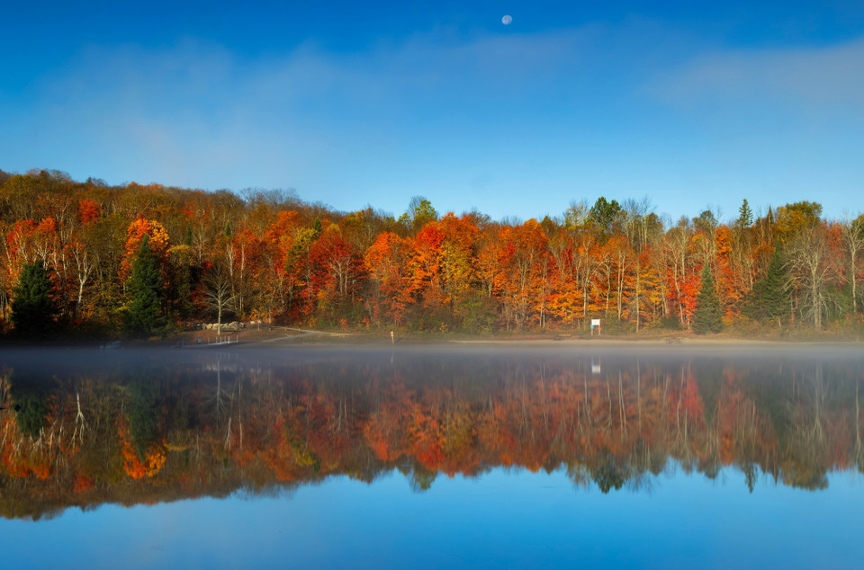Lá cây nhuộm sắc đỏ và vàng trong công viên tại Huntsville, Ontario, Canada. (Ảnh: THX/TTXVN)