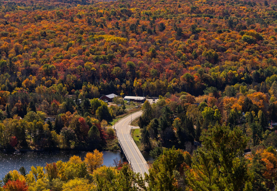 Lá cây nhuộm sắc đỏ và vàng tại Ontario, Canada. (Ảnh: THX/TTXVN)