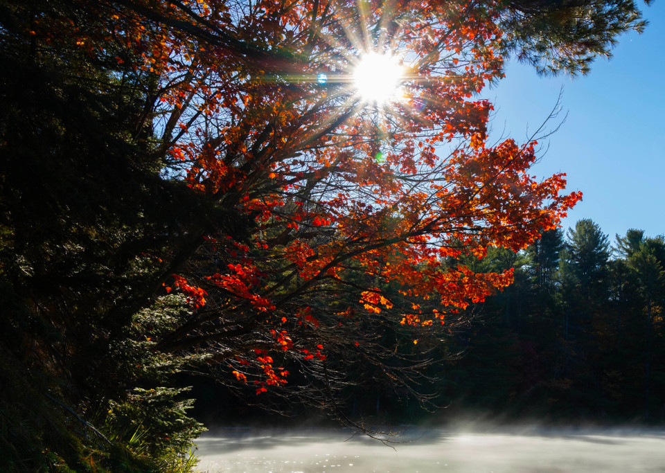 Lá cây nhuộm sắc đỏ trong công viên tại Huntsville, Ontario, Canada. (Ảnh: THX/TTXVN)