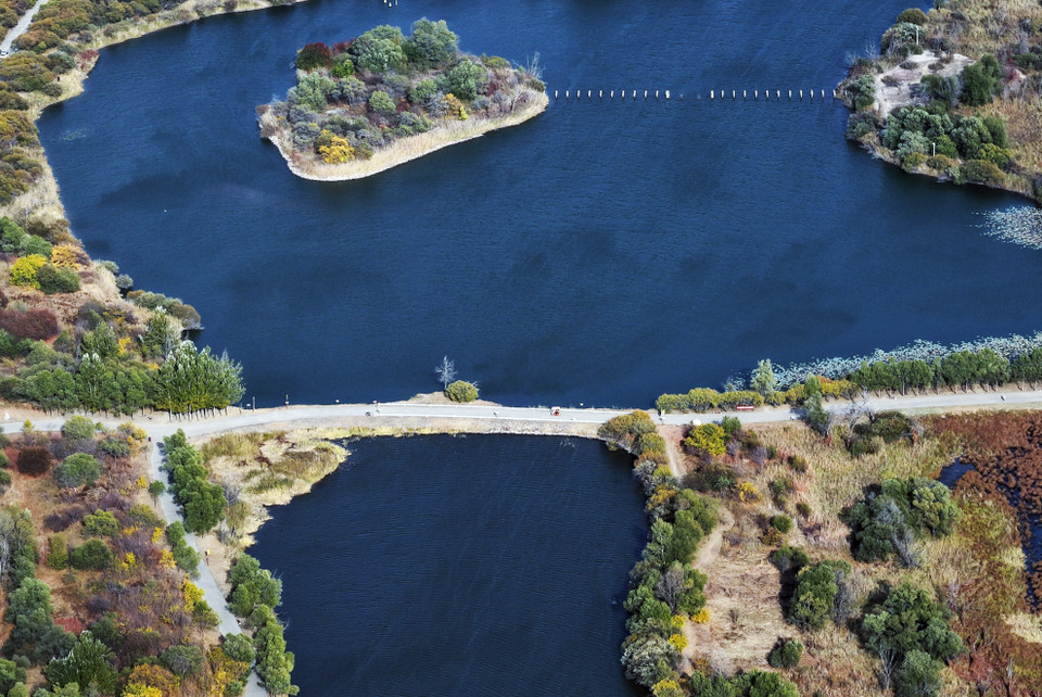 Cảnh đẹp mùa thu tại Cáp Nhĩ Tân, tỉnh Hắc Long Giang, Trung Quốc. (Ảnh: THX/TTXVN)