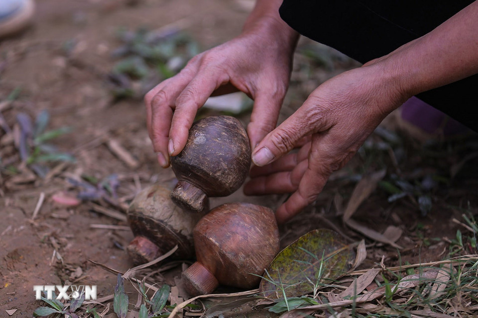 Đánh cù không chỉ là trò chơi giải trí mà còn phản ánh tinh thần cộng đồng, sự khéo léo, tính chiến thuật và sức mạnh của người chơi. (Ảnh: Trọng Đạt/TTXVN)