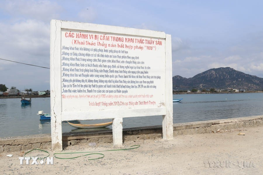 Bảng tuyên truyền về các hành vi bị cấm trong khai thác thủy sản đặt tại xã Tri Hải (Ninh Hải, Ninh Thuận). (Ảnh: Nguyễn Thành/TTXVN)